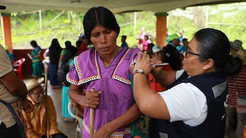 Entre controles sanitarios y el frío de la noche: La travesía de indígenas panameños que cruzan a Costa Rica a trabajar en el café