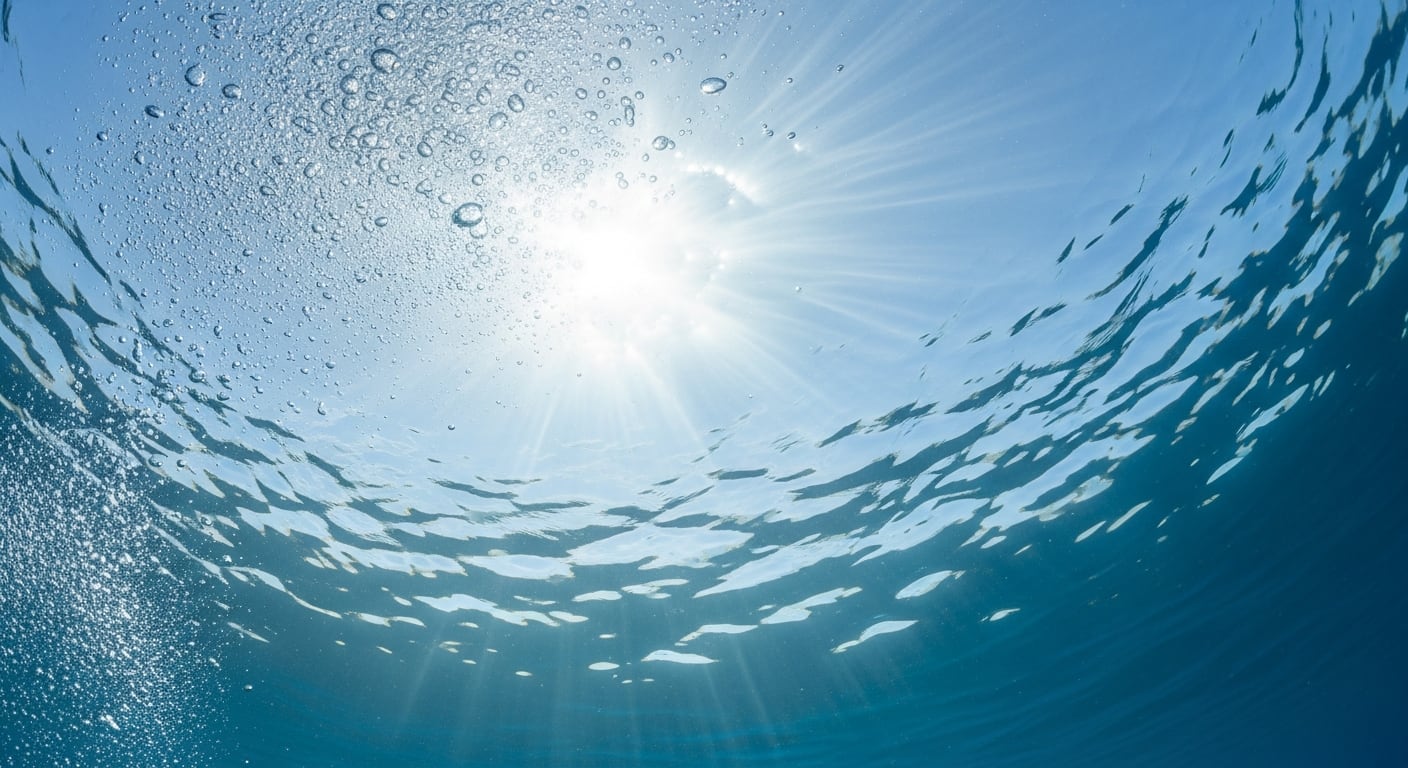 La investigación, publicada en Marine Ecology Progress Series, descifra el papel central de los peces mesopelágicos en el equilibrio oceánico (Imagen Ilustrativa Infobae)