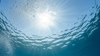 Los océanos alcanzaron un nuevo