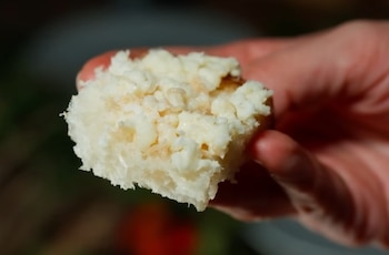 Queso Casu marzu