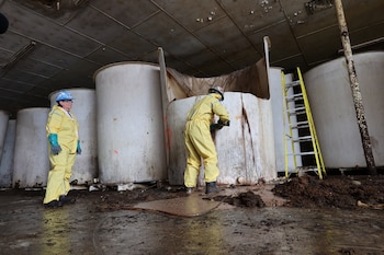 Residuos salen de un tanque de salsa de pescado en fermentación en una fábrica abandonada de salsa de pescado, el martes 28 de julio de 2026, en St. Mary's, Canadá. (Elling Lien/The Canadian Press via AP)