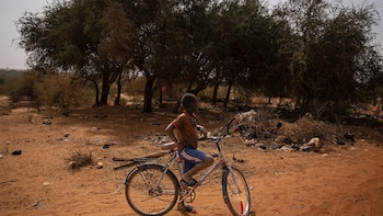 Save the Children alerta de