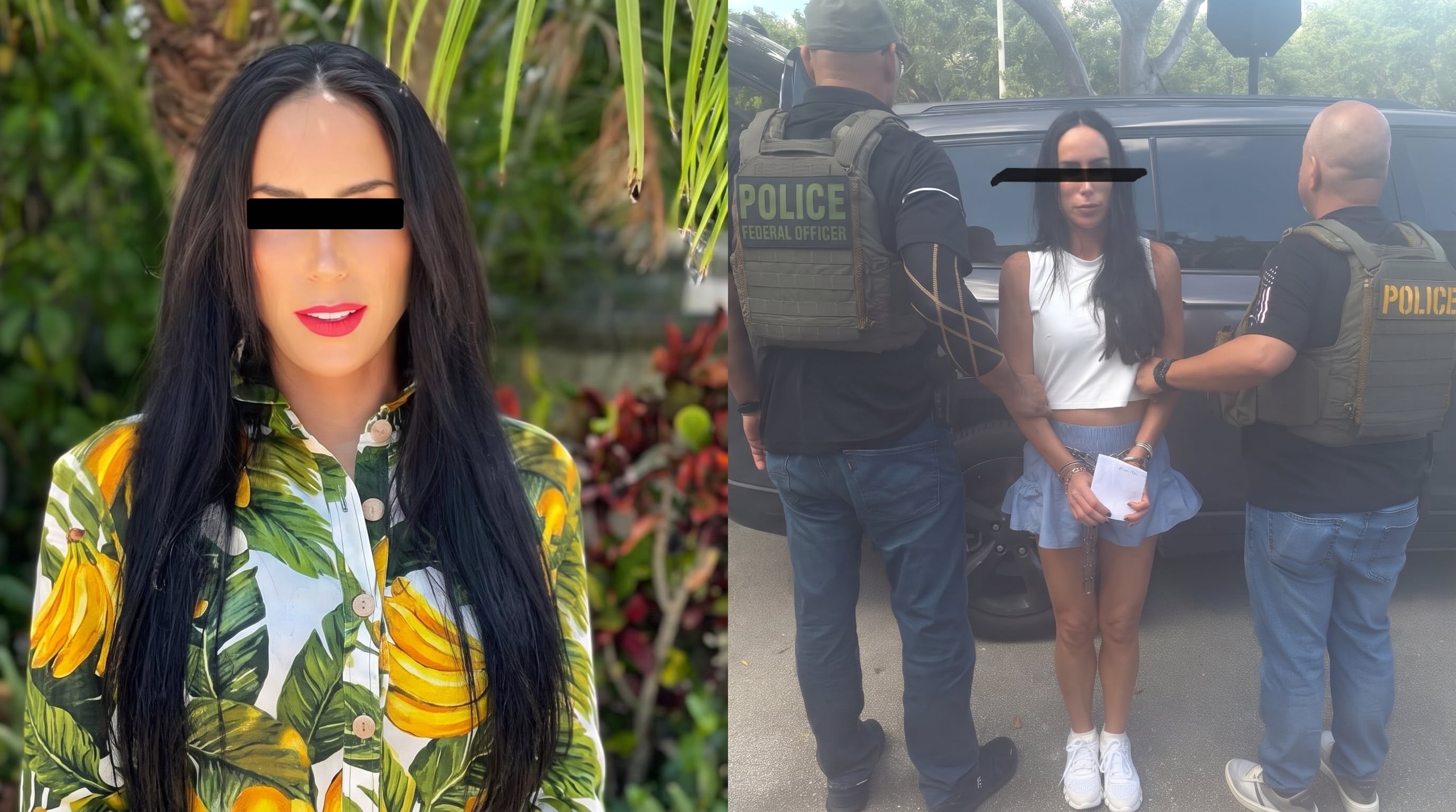 Inés Gómez Mont: por qué huyó de México y la razón de su detención en Estados Unidos