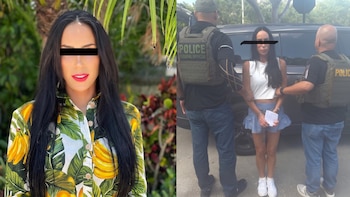 Inés Gómez Mont: por qué huyó de México y la razón de su detención en Estados Unidos