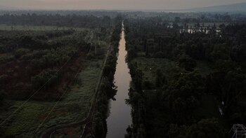 El nivel de los principales