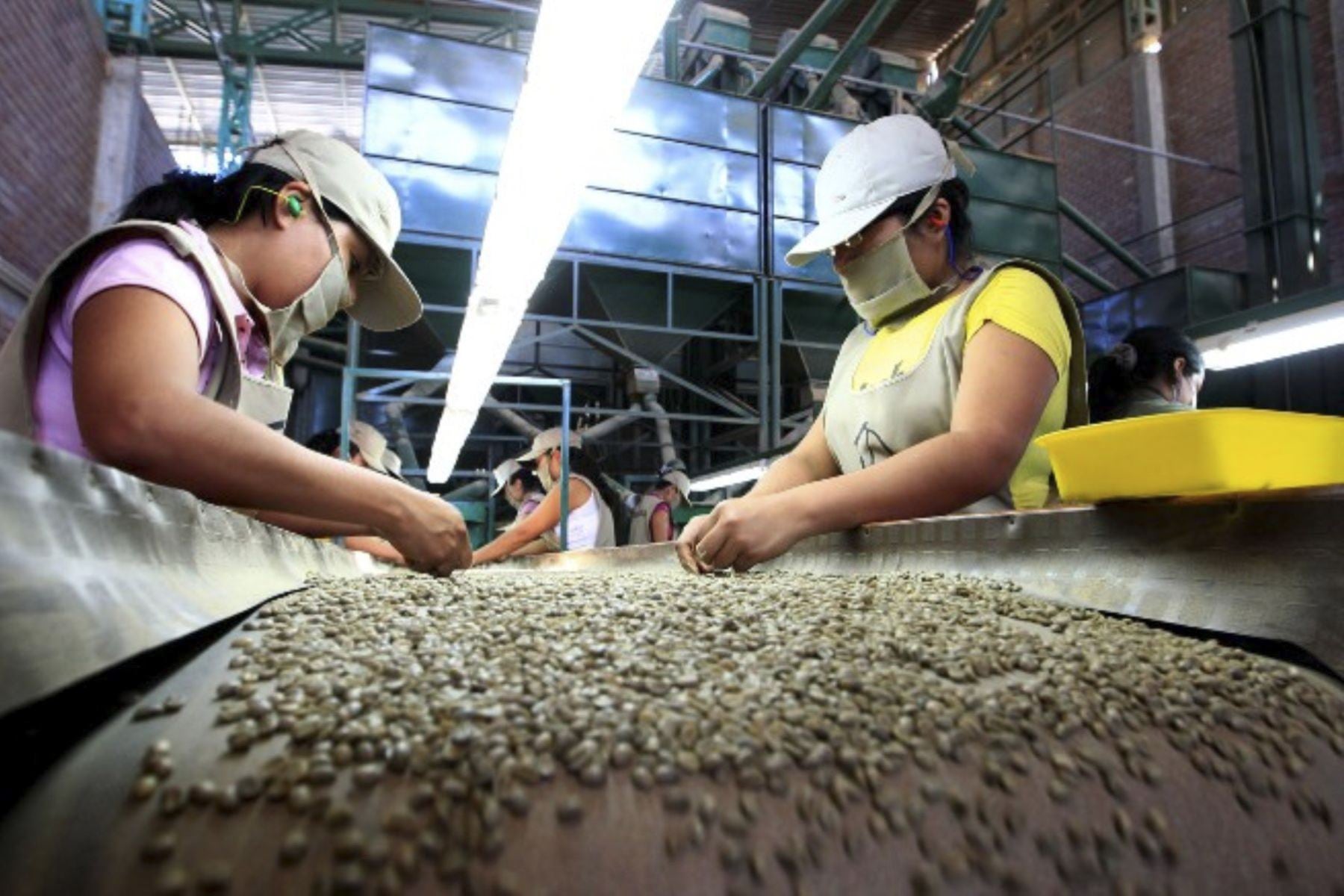 En los primeros 10 meses del año, Estados Unidos lideró como destino de las exportaciones agrarias peruanas, al concentrar el 31% del total. Foto: Andina