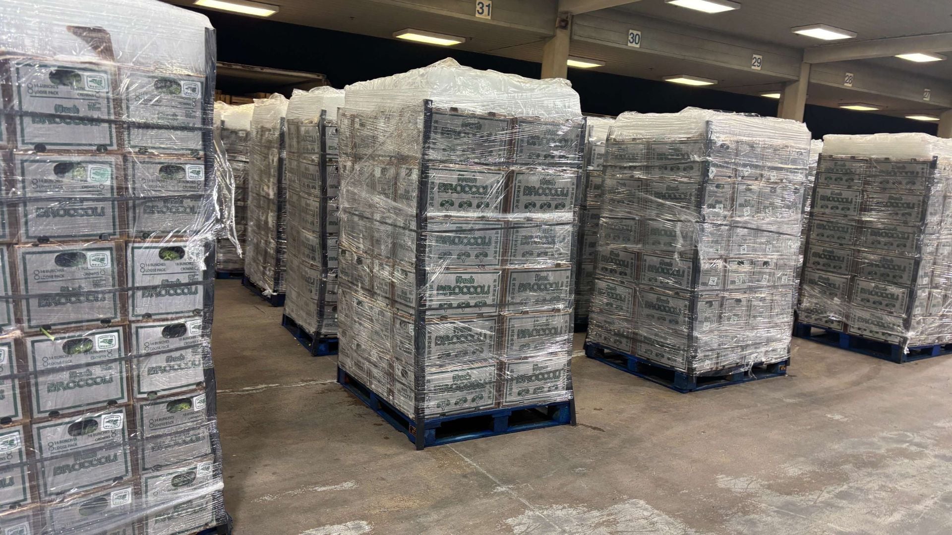 Descubren más de 157 kg de cocaína ocultos en cargamento de brócoli en frontera de EE.UU.