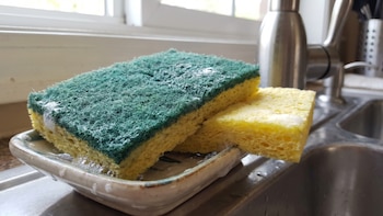 Adiós a la esponja tradicional para lavar: el cambio silencioso en la limpieza que gana terreno por salud y sostenibilidad