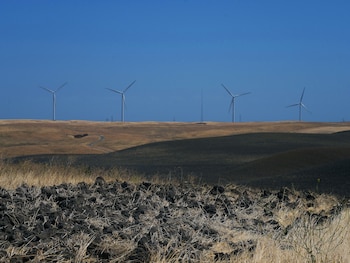 Tierras ganaderas y turbinas eólicas