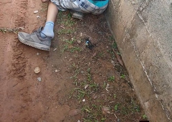 La Ceiba quedó conmocionada por el asesinato de cuatro primos que habían desaparecido tras asistir a una actividad religiosa.
