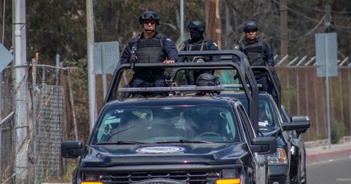 Rescatan a dos secuestrados tras el ataque que mató a agentes federales