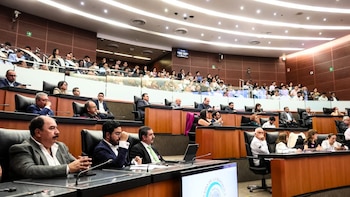 Pemex presume impulso a biocombustibles en el Senado, pero enfrenta caída histórica y busca alianza con Brasil