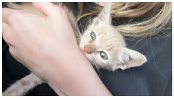 (Instagram/belindapop)