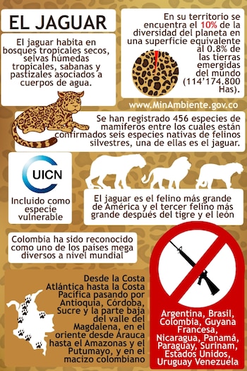 Ministerio de Ambiente