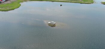 Volvo S80, Illinois (Neil Driscoll,