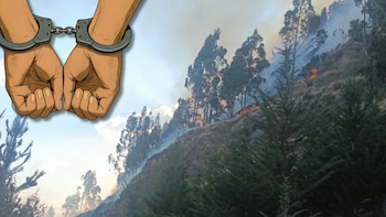 Condenan a trabajador municipal por incendio forestal en Cusco: pagará S/6 mil, tendrá pena suspendida por tres años y reforestará 10 hectáreas
