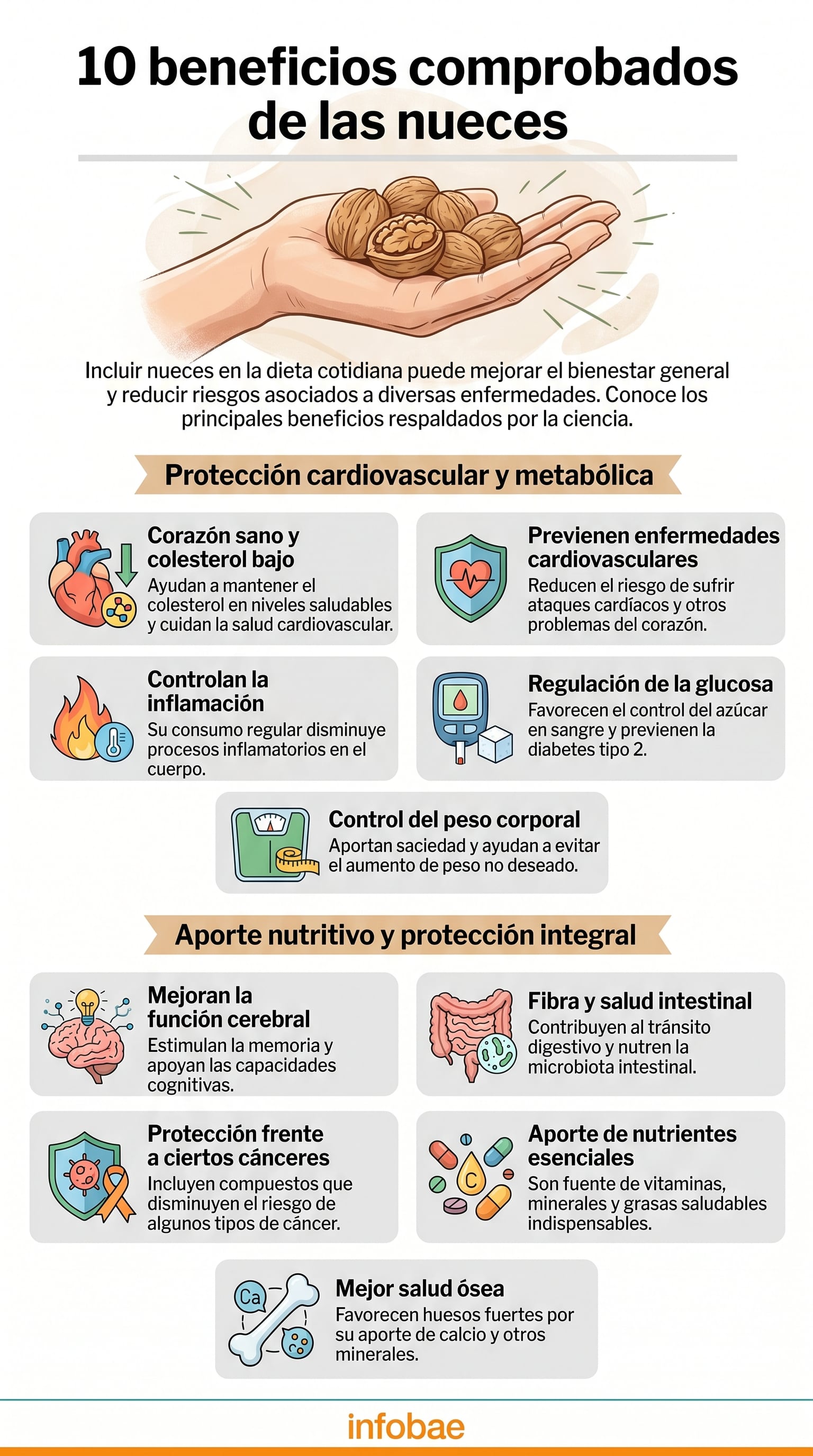 Una infografía detallada ilustra los diez beneficios comprobados de incluir nueces en la dieta diaria, abarcando desde la salud cardiovascular hasta la mejora de la función cerebral y ósea. (Imagen Ilustrativa Infobae)
