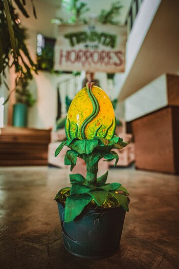 Una planta, es la causante de esta gran aventura por parte del elenco de esta obra de teatro. Foto: Cortesía.