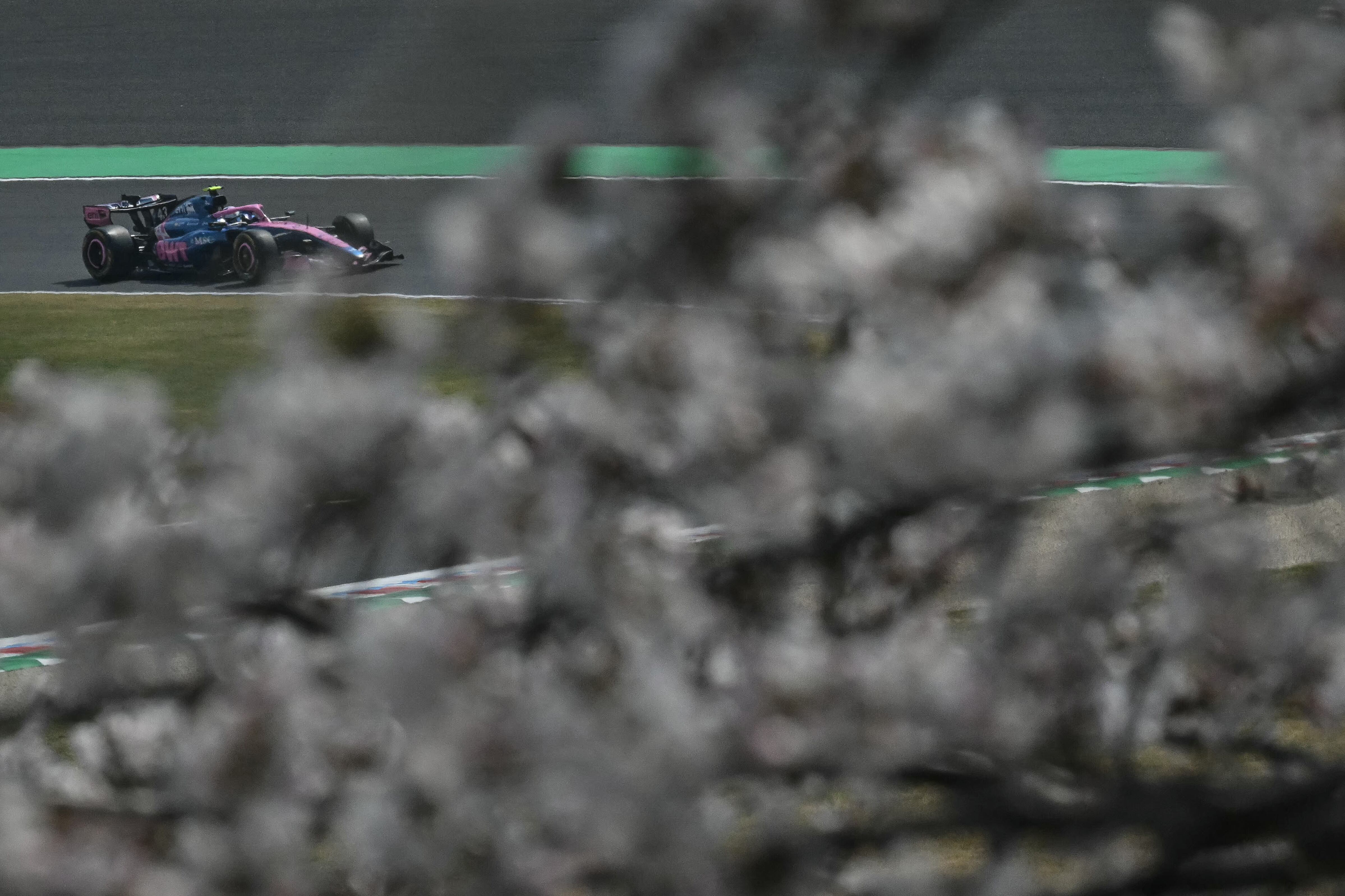Franco Colapinto en acción en Suzuka (Photo by ANDREW CABALLERO-REYNOLDS / AFP)