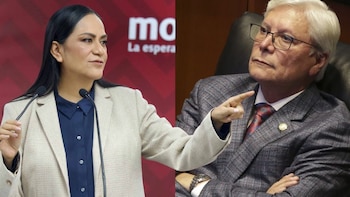 Ariadna Montiel afirma que no se toman decisiones internas con base en acusaciones sin sustento y pide cautela mientras no exista una comprobación formal sobre la presunta colaboración del líder petista en Baja California