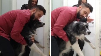 Se encerraron con su perro para que no sufra por los fuegos artificiales. (Twitter: @ibonpereztv)
