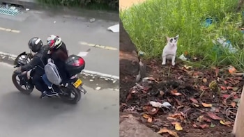 Registran en video el abandono