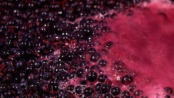 Crecieron más del 110% las