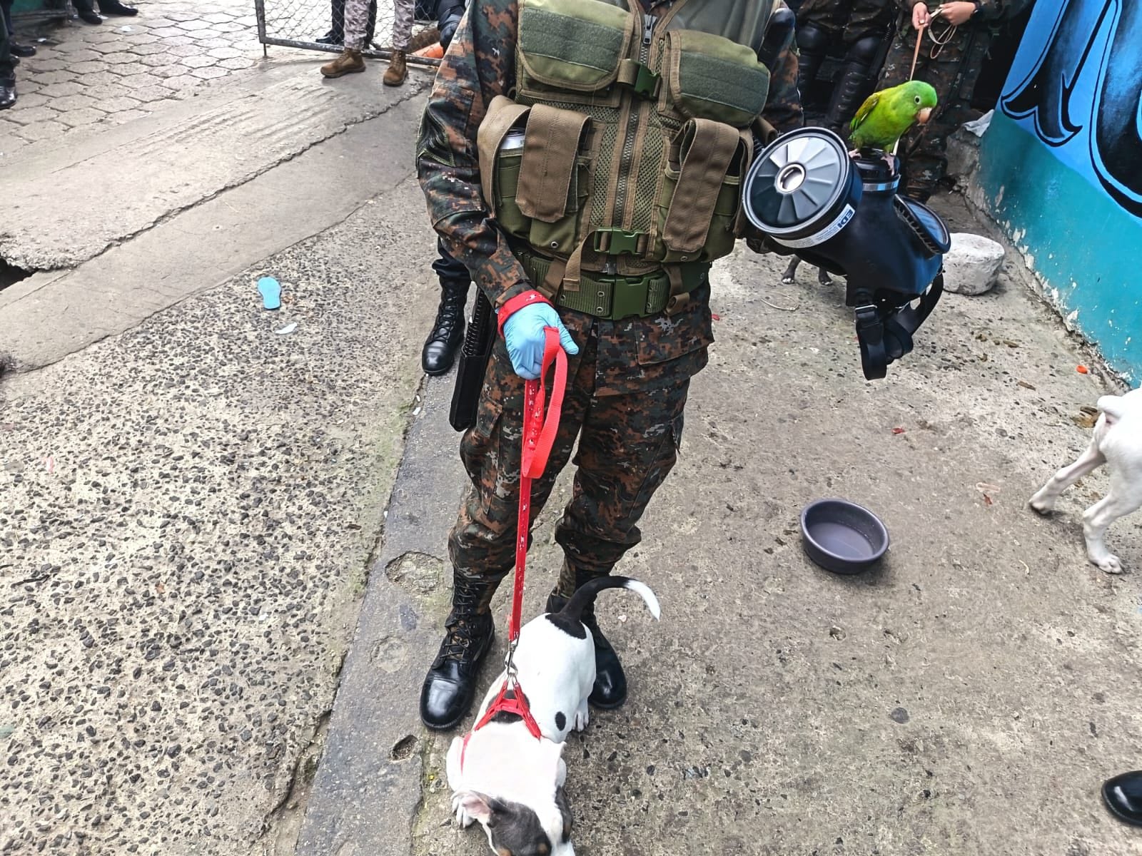 Las fuerzas de Fuerza Élite de la DGSP, PNC y Ejército de Guatemala llevaron a cabo un operativo en el Centro Preventivo para Hombres de la zona 18,( Ejército GT Oficial)