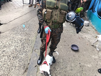 Las fuerzas de Fuerza Élite