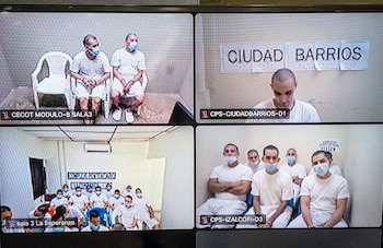 Integrantes de estructuras pandilleras comparecen