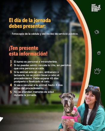 El programa de esterilización beneficia