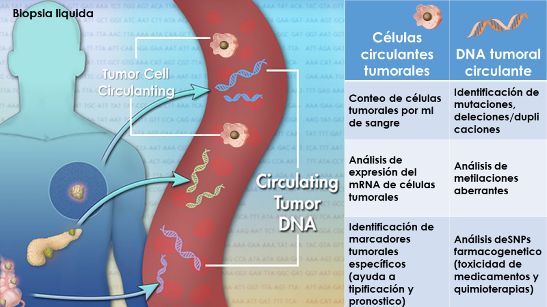 Las biopsias líquidas permiten monitorear el estado fisiológico de pacientes en tiempo real, ajustando los tratamientos de forma personalizada (Science)