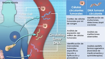 Las biopsias líquidas permiten monitorear