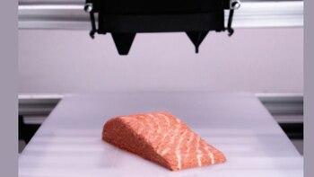 Cómo prepararon un salmón vegano