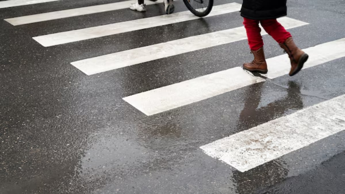 La jueza resaltó que la carga de la prueba en casos de responsabilidad del Estado por omisión recae en la parte reclamante. (Foto de archivo: Freepik)