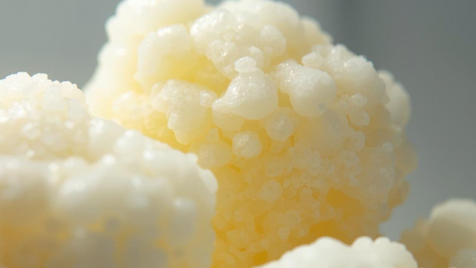 Aunque el refrigerador puede ayudar a conservar los búlgaros de leche, usarlo mal puede dañarlos. (Canva)