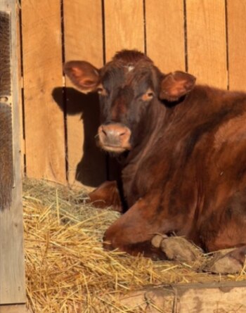 Margaret llegó a finales del