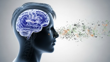 La contaminación aérea modificaría el