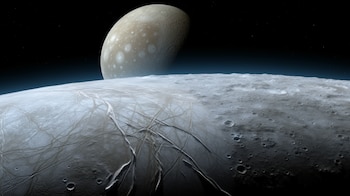 Elementos esenciales para la vida,