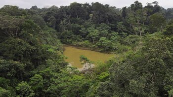 El Ministerio del Ambiente ejecutará