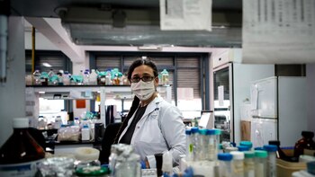 Coronavirus en la Argentina: el