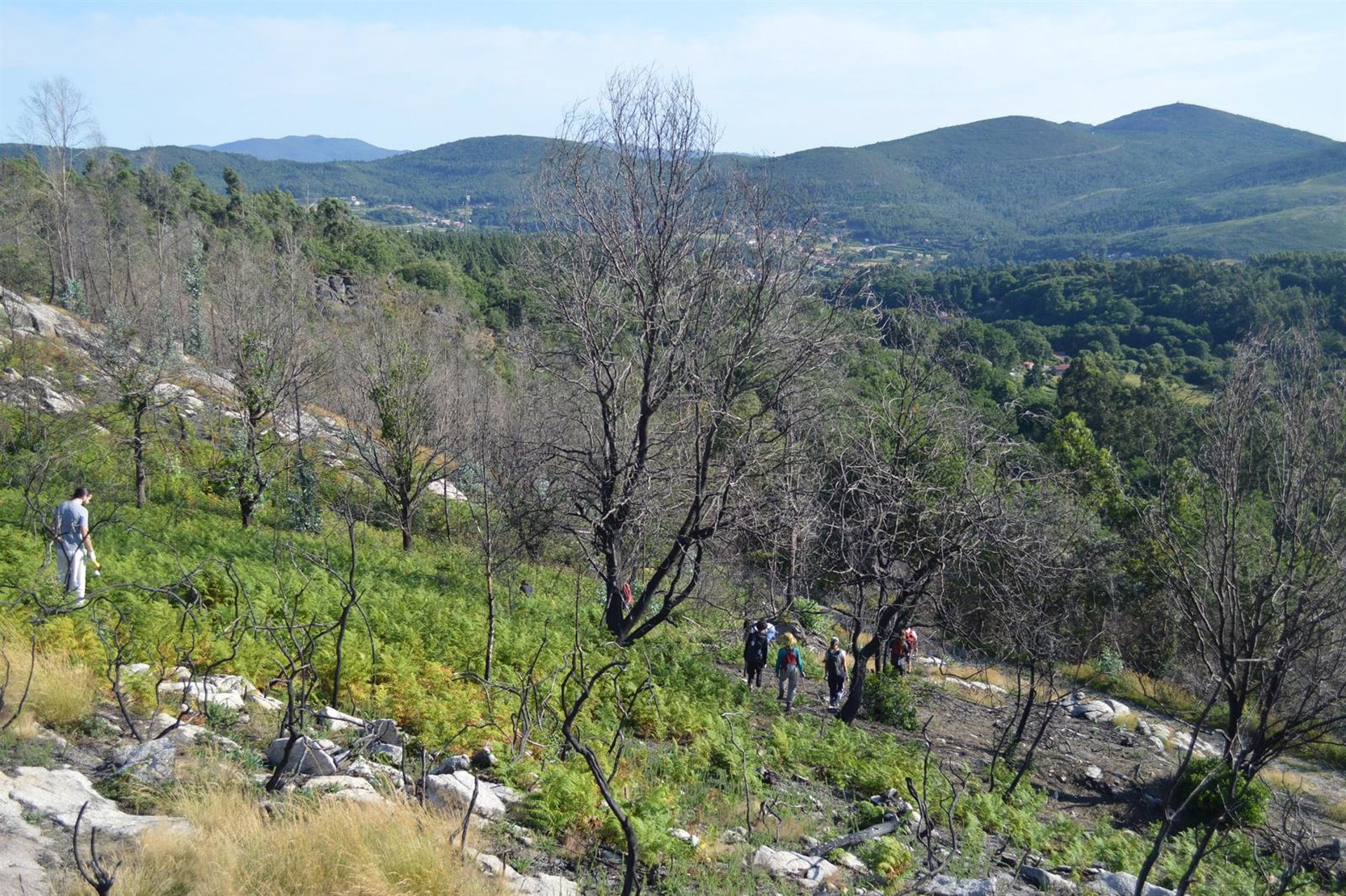 19/08/2018 Montes Vecinales en Mano Común de RebordeloPOLITICA GALICIA ESPAÑA EUROPA PONTEVEDRA AUTONOMÍAS