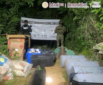 La Secretaría de Marina localizó y desactivó más de 300 artefactos explosivos improvisados y aproximadamente 300 kilogramos de material explosivo en el poblado Agua Verde, municipio de El Rosario, Sinaloa. Crédito: Especial