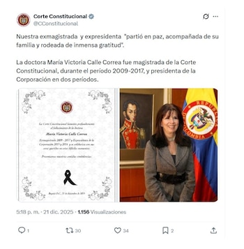 La Corte Constitucional, tribunal en