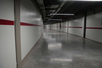 Así lucen los anillos internos