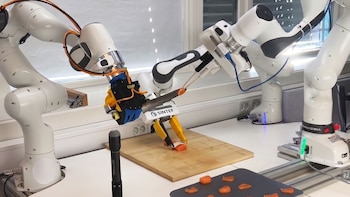 De la fábrica a la cocina: robot de 3 brazos corta pescado con una precisión del 95%