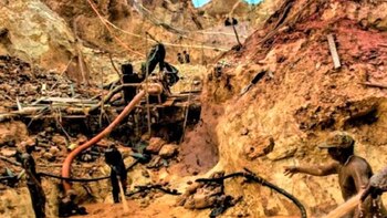 La explotación del oro en