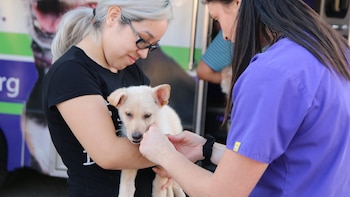 Bogotá habilitó 3.000 nuevos cupos