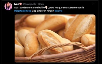 (Foto: Captura de pantalla)