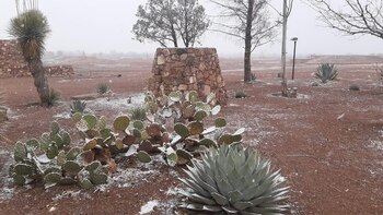 En la zona arqueológica de